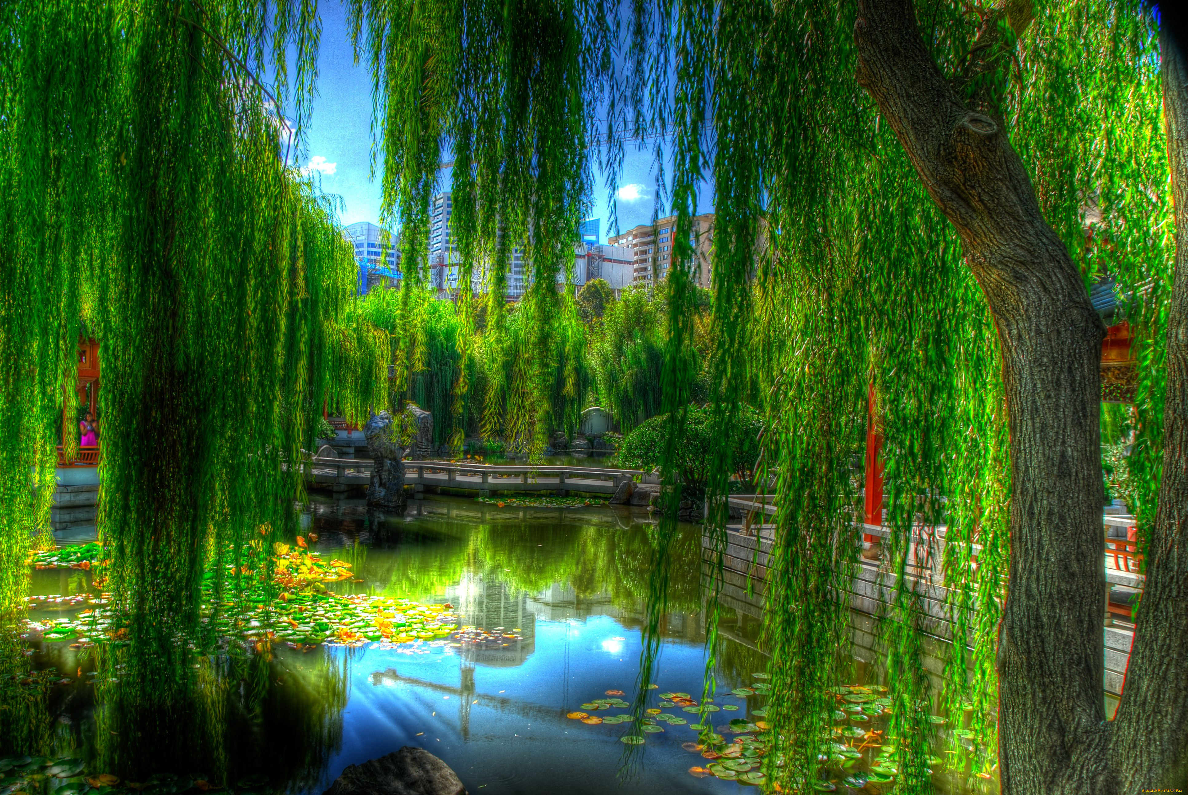 Сады озеры. Плакучая Ива в японском саду. Ива плакучая водопад. Плакучая Ива пруд подсветка. Пейзаж у пруда с плакучей ивой.